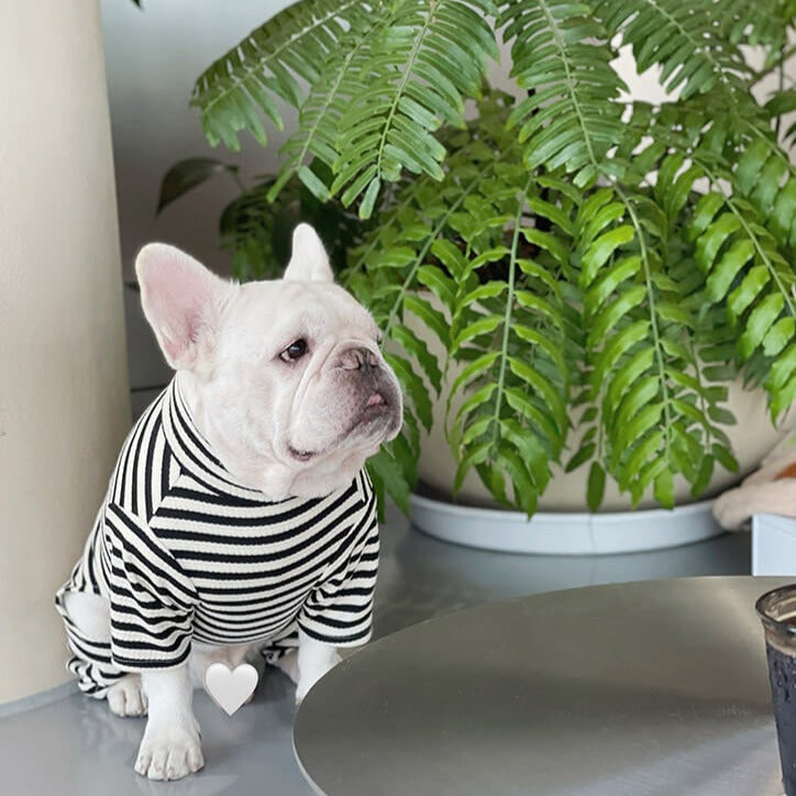 Dog Black Stripe Pajama Onesie for small medium dogs by Frenchiely