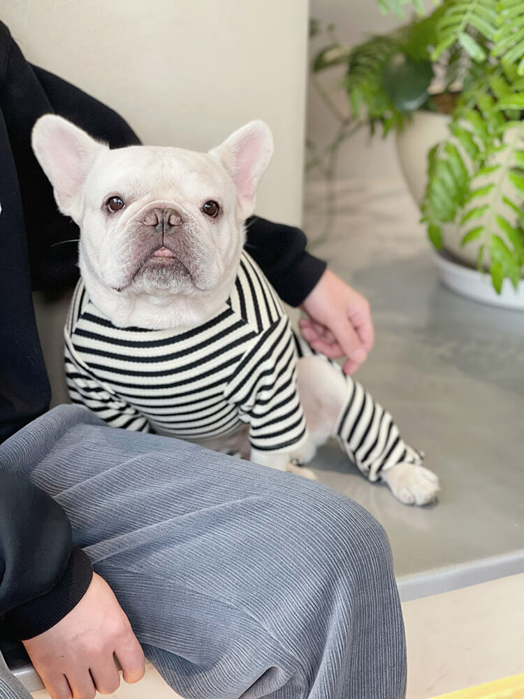 Dog Black Stripe Pajama Onesie for small medium dogs by Frenchiely