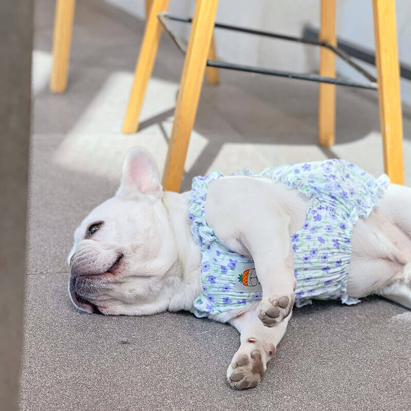 Purple Floral Dress for french bulldogs by Frenchiely