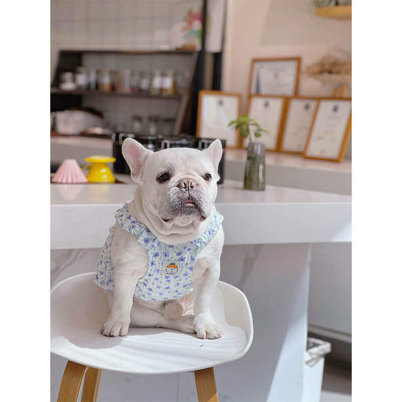 Purple Floral Dress for french bulldogs by Frenchiely