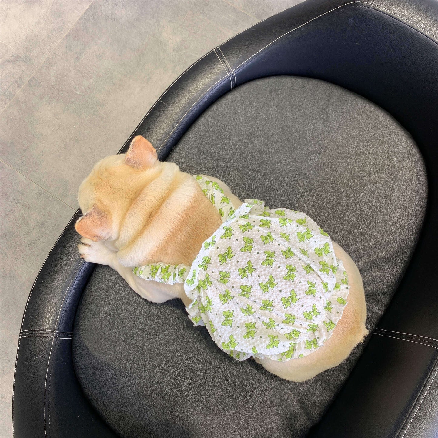 Dog Sweet Bowtie Print Dress for small medium dogs by Frenchiely