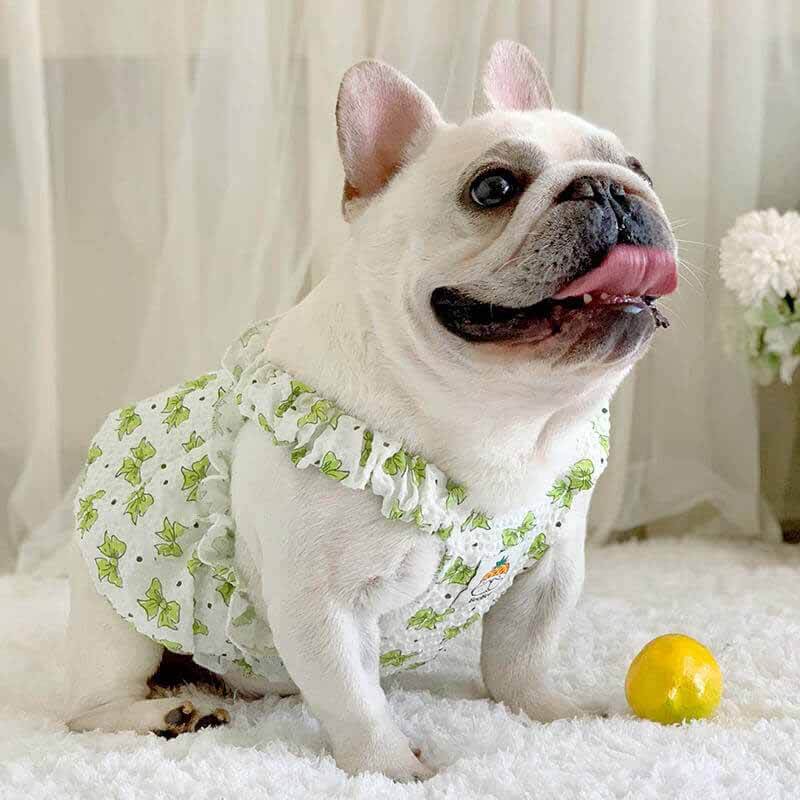 Dog Sweet Bowtie Print Dress for small medium dogs by Frenchiely