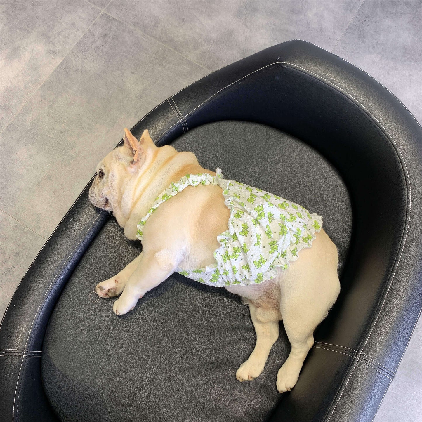 Dog Sweet Bowtie Print Dress for small medium dogs by Frenchiely