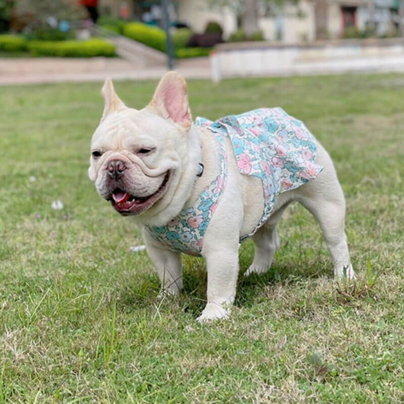 dog floral dress with harness leash by Frenchiely.com