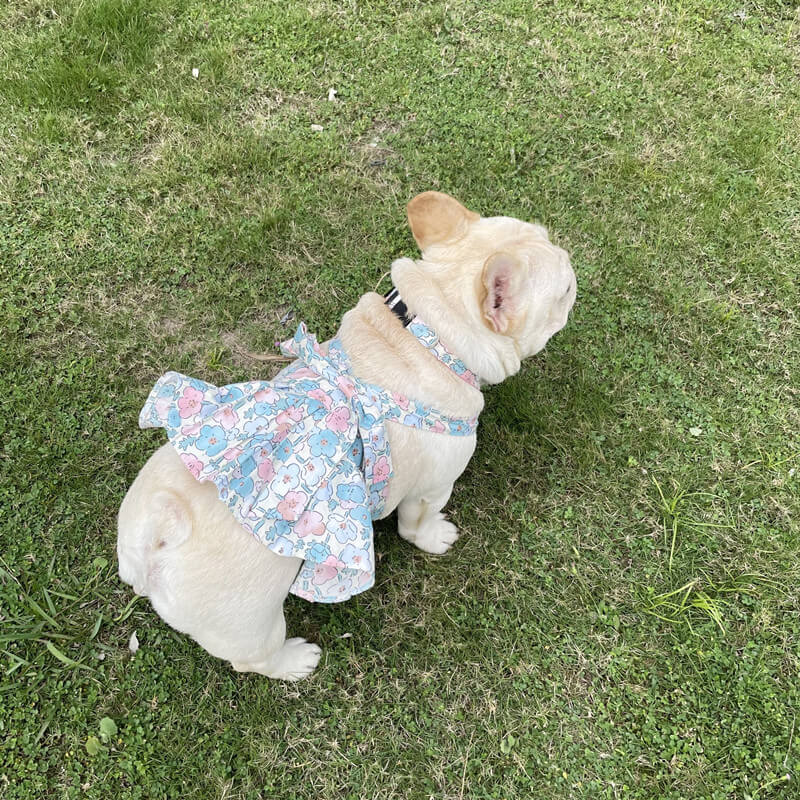 dog floral dress with harness leash by Frenchiely.com