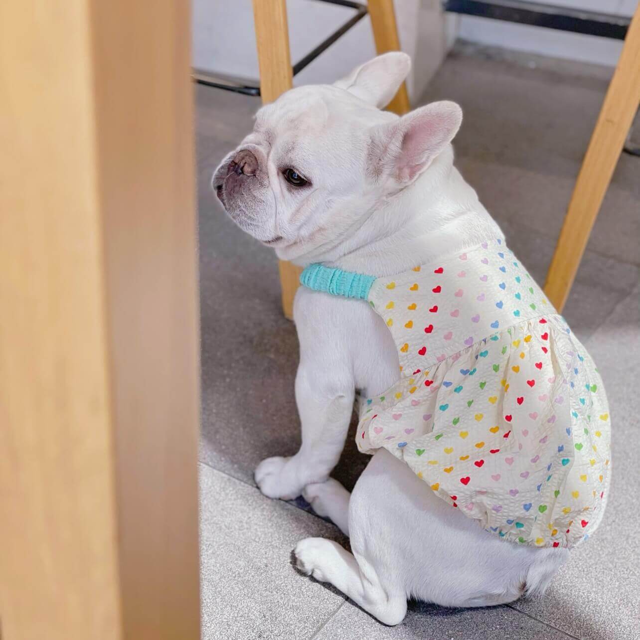 Heart Prints Dress with pastel suspenders by Frenchiely.com