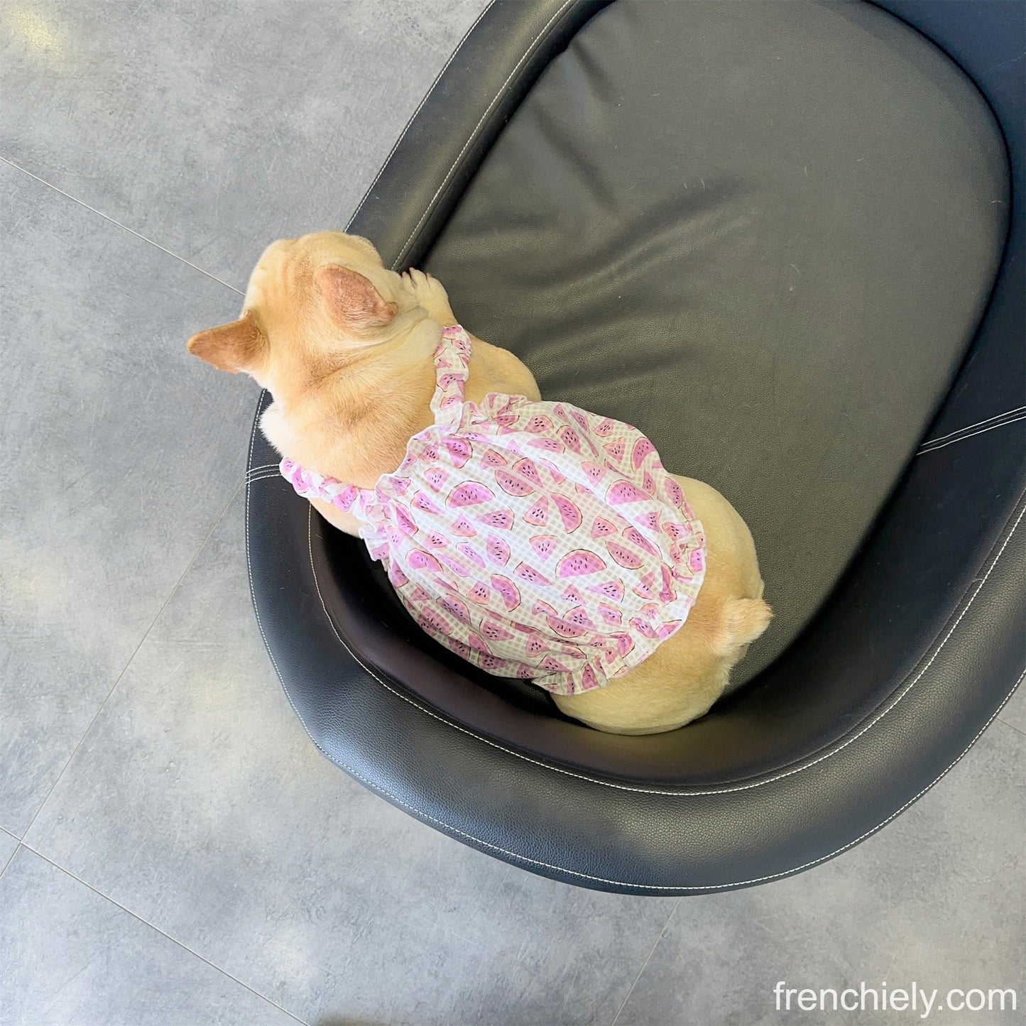 Dog Watermelon Dress for small medium dogs