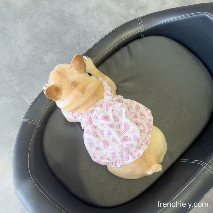 Dog Watermelon Dress for small medium dogs