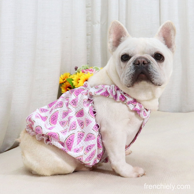 Dog Watermelon Dress for small medium dogs