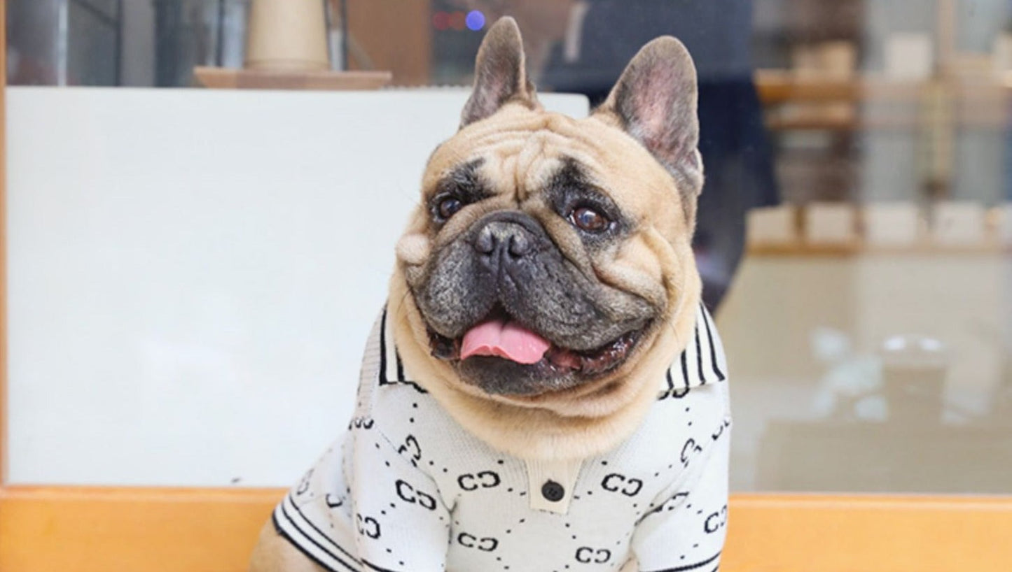 dog white sweater with collar