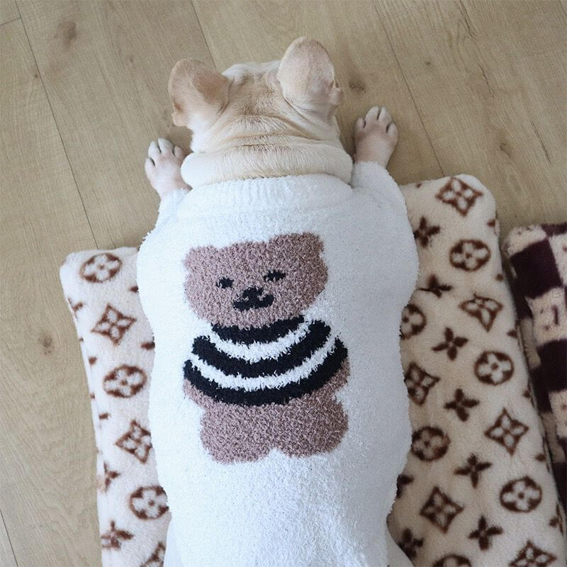 dog sweater girl