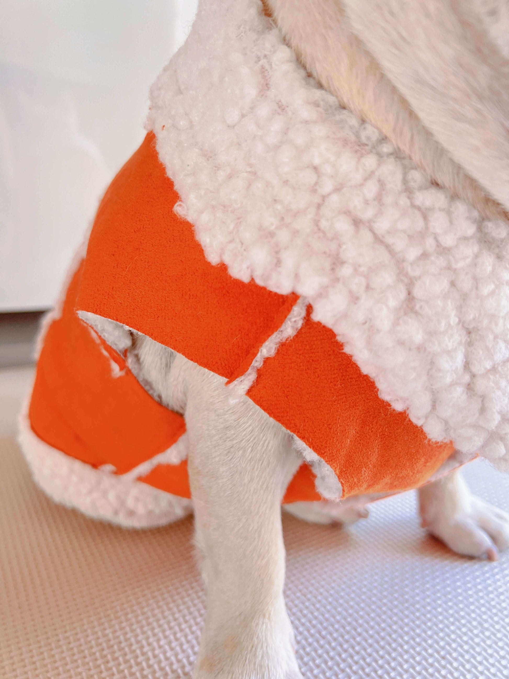 dog winter suede jacket coat for small medium dog breeds by Frenchiely