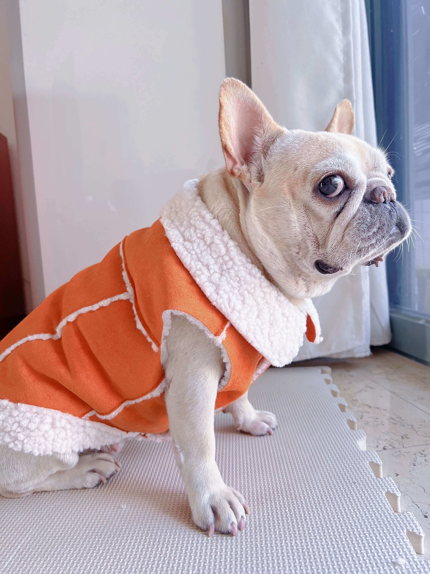 dog winter suede jacket coat for small medium dog breeds by Frenchiely