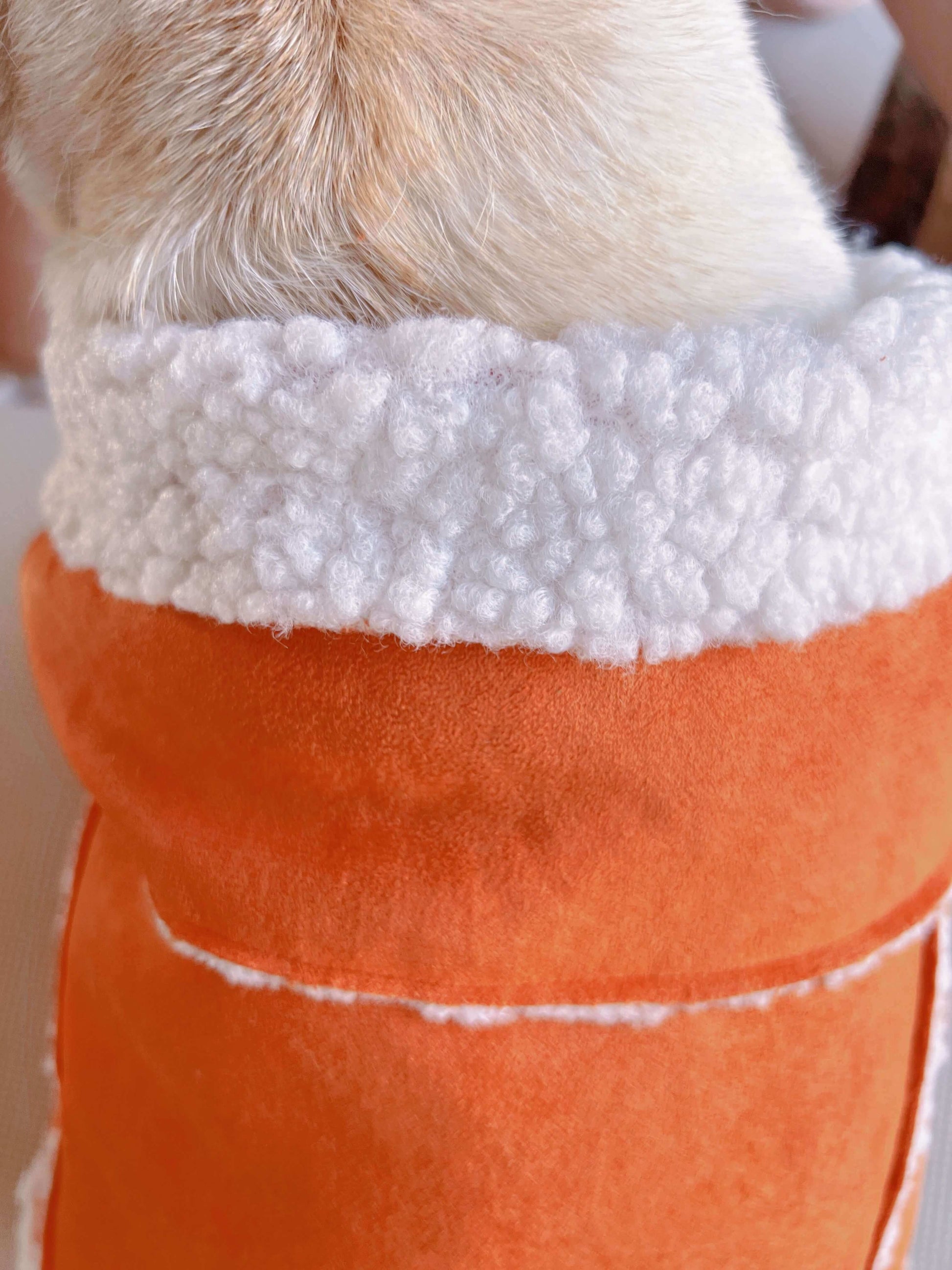 dog winter suede jacket coat for small medium dog breeds by Frenchiely