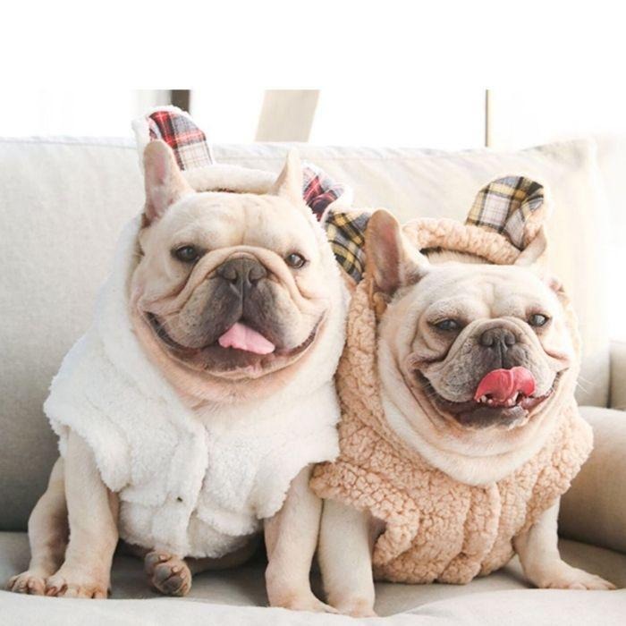 Dog Warm Plaid Hooded Coat for Medium Dogs