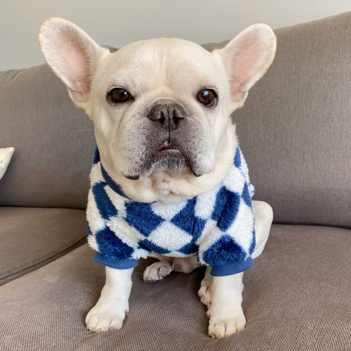 dog winter warm sweater jumper for small medium dogs