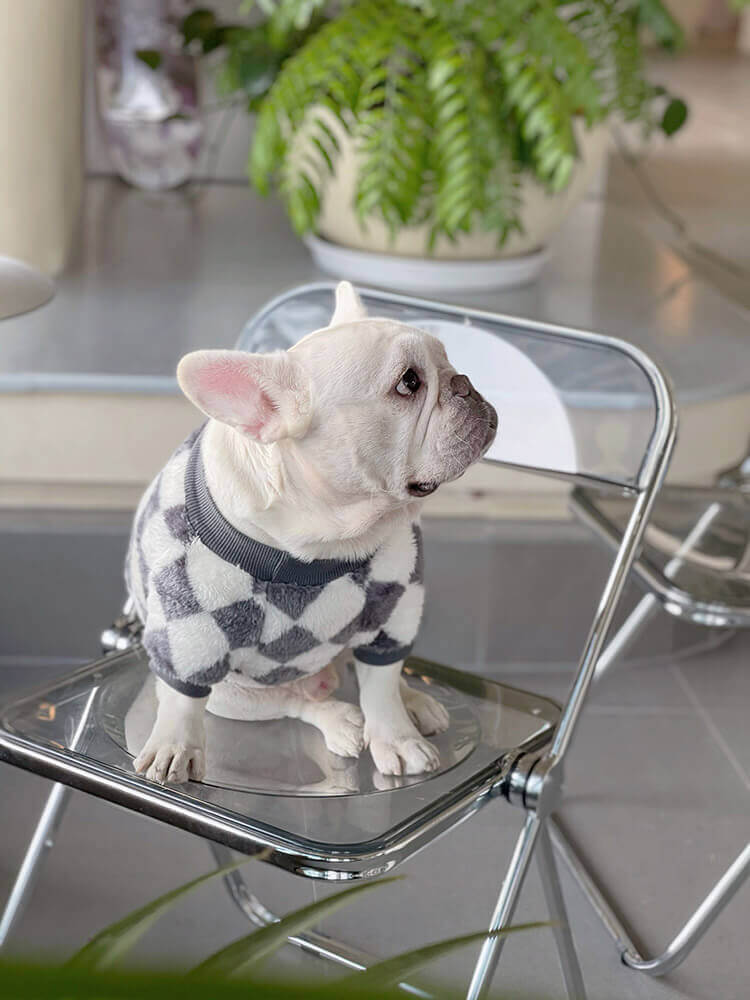 puppy bulldog winter clothes