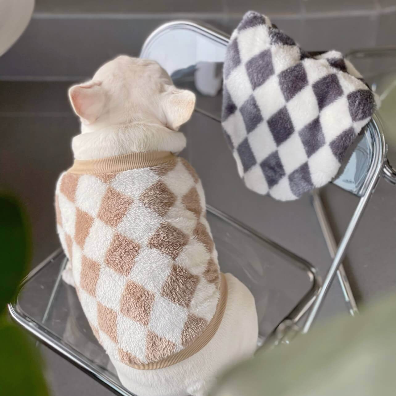 dog winter warm pullover sweater for medium dog breeds