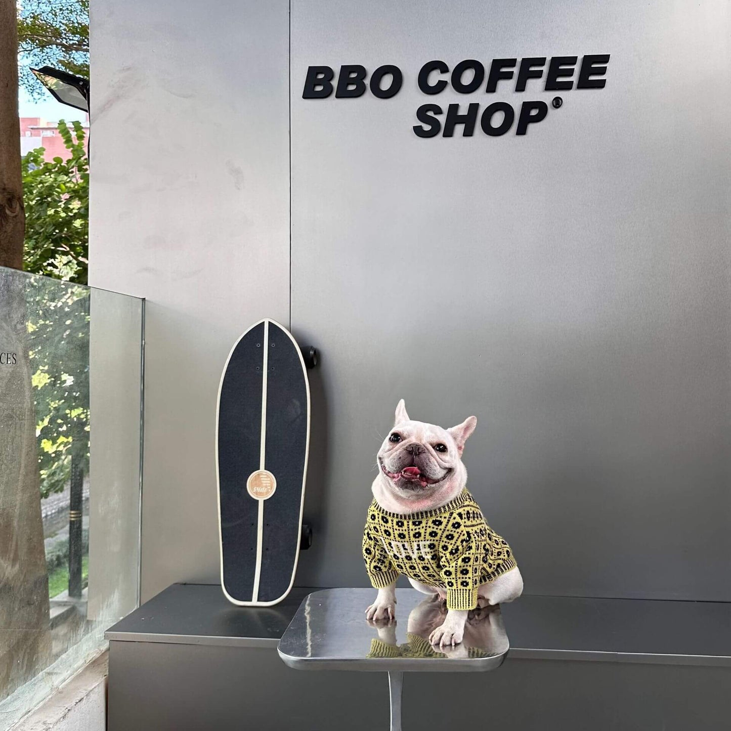 Dog stylish Pullover Sweater for medium dog breeds