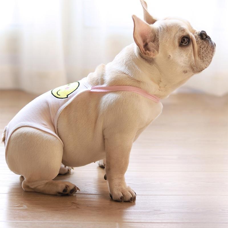 Dog Period Pants with Wings - Frenchiely