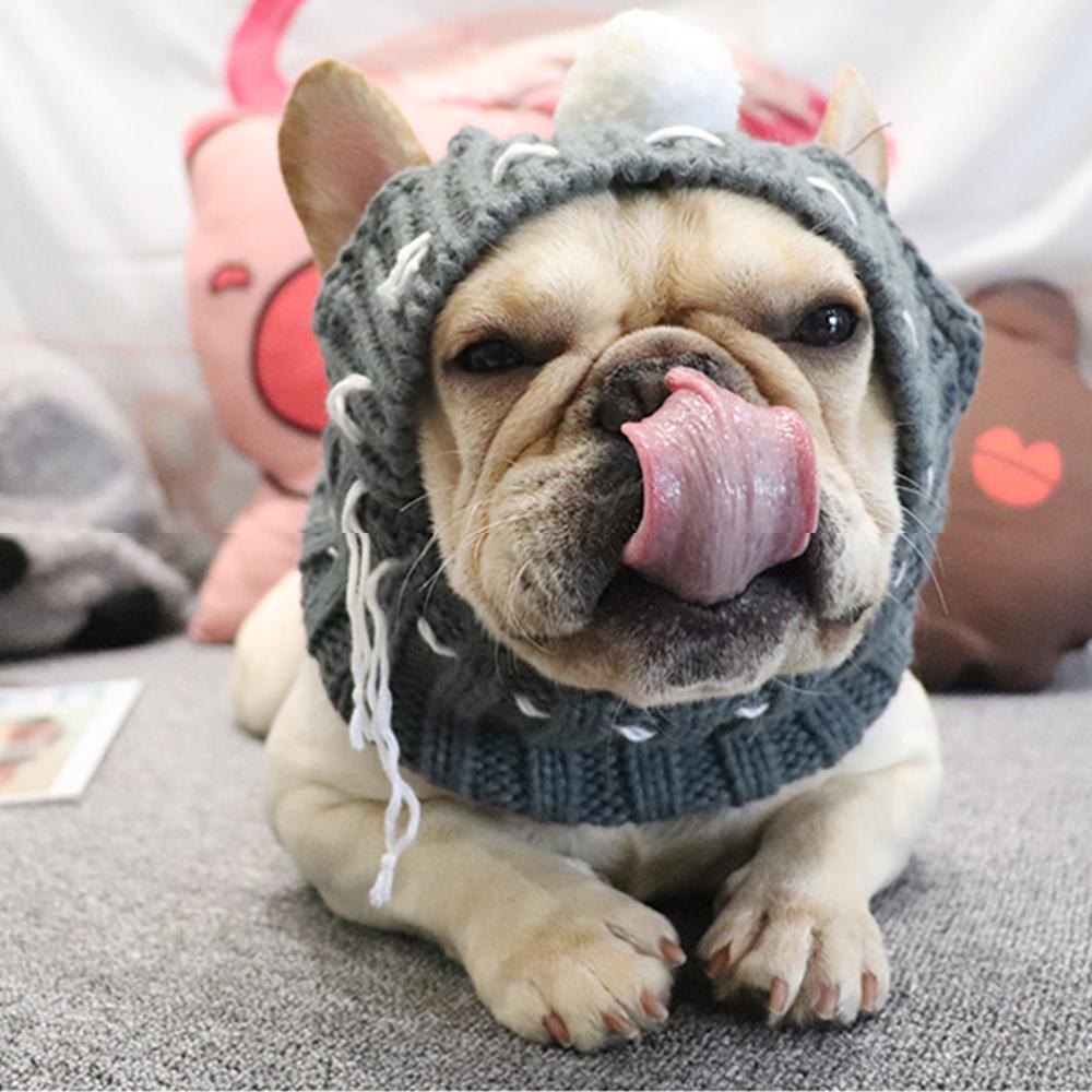 Dog Knitted Snood Hat for French Bulldogs - Frenchiely