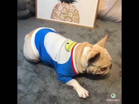 Cartoon Dog Pokonyan Doraemon Sweater by Frenchiely