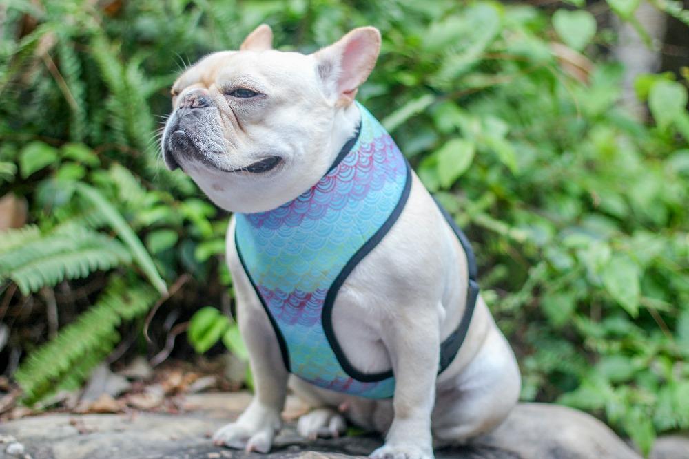 pink camo mermaid dog harness vest - Frenchiely