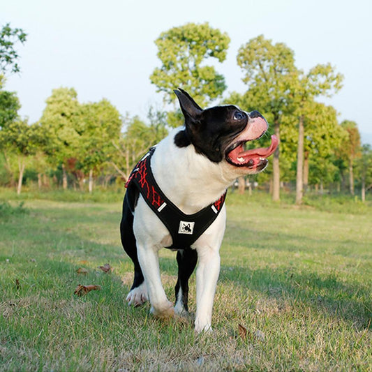 No Pull Mesh Step-in Dog Harness with Reflective Material - Frenchiely