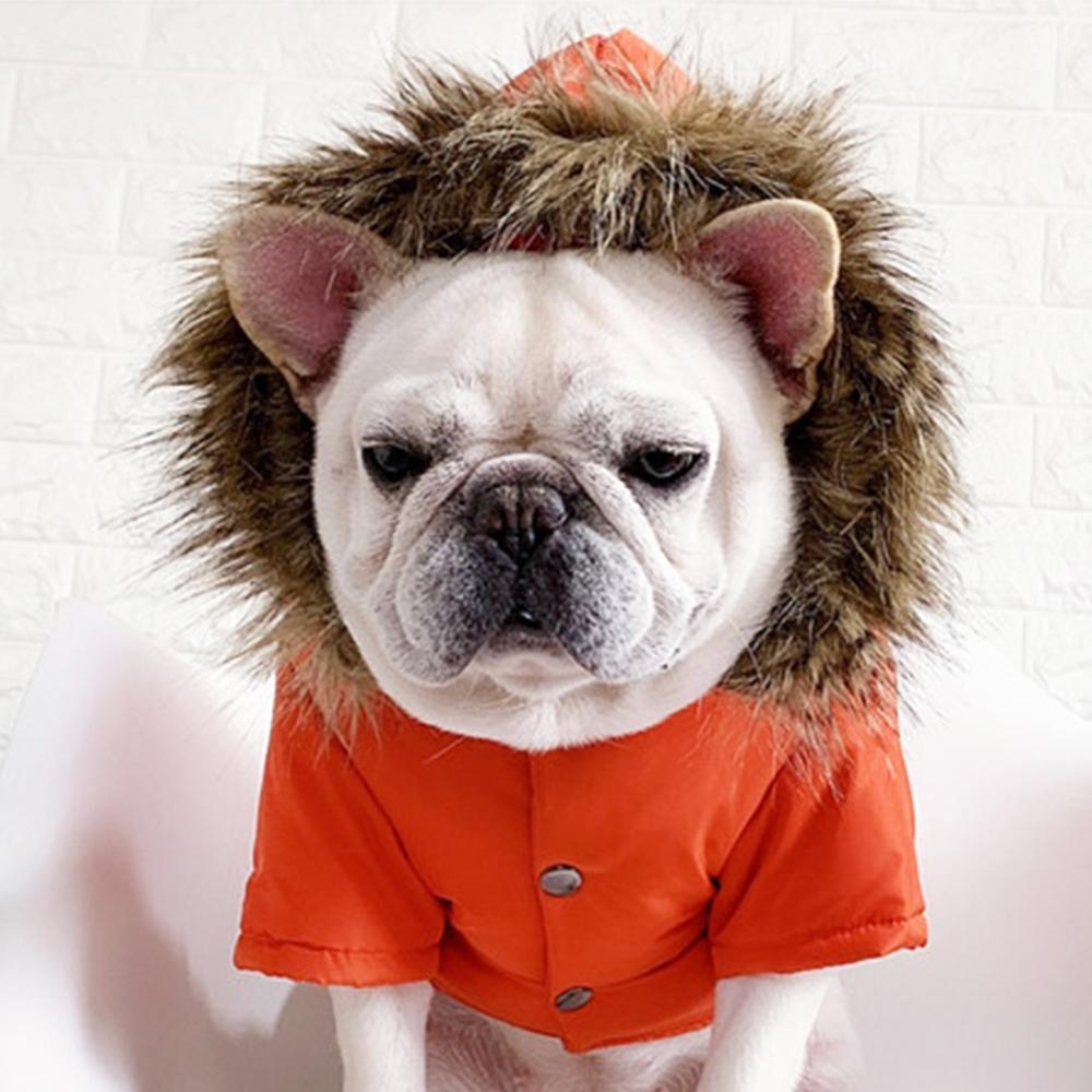 Large Hood Warm Down Coat for Medium Dogs - Frenchiely