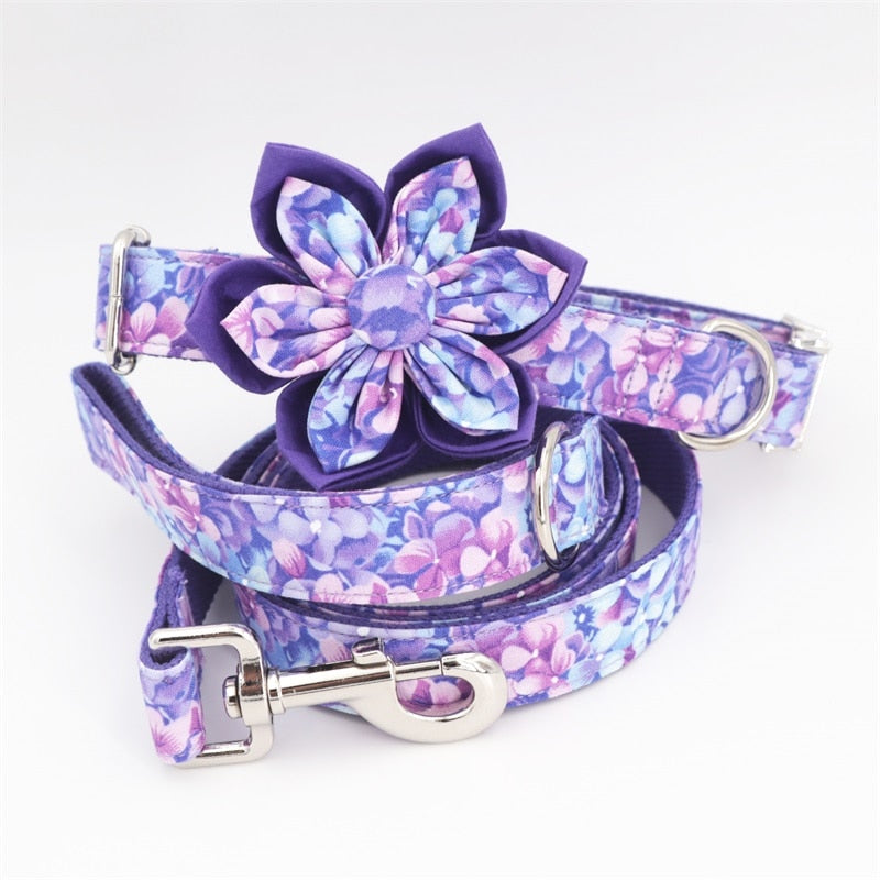 Dog Purple Collar Chain Leash Set - Frenchiely