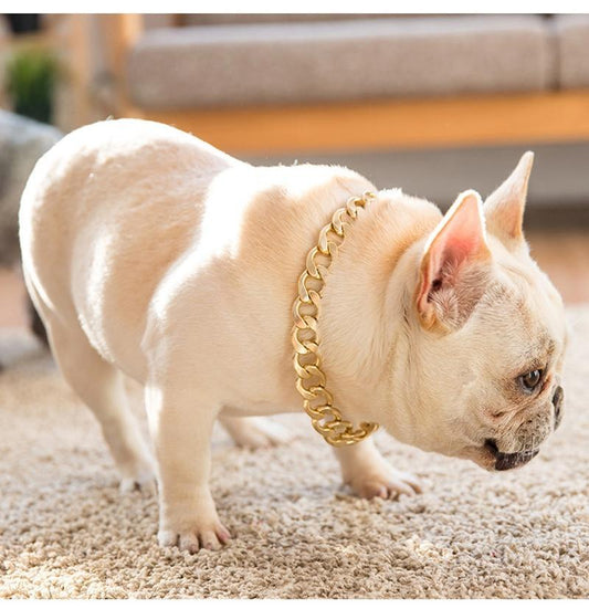 French Bulldog Golden Chain Decorative Collar - Frenchiely