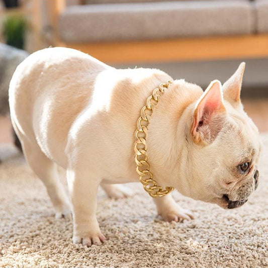 Dog Golden Chain Decorative Collar product-image-884510387