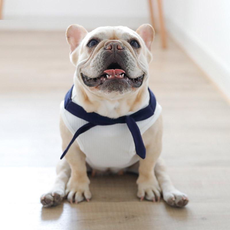 navy blue dog dress shirt for medium dogs - Frenchiely