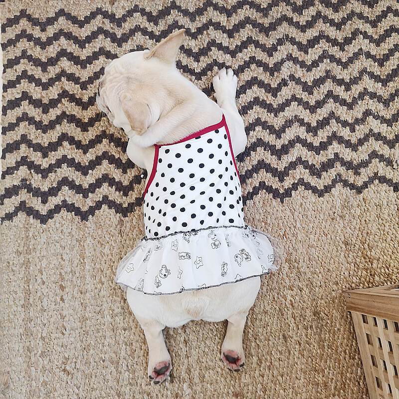Dog Summer Dress for French Bulldogs - Frenchiely