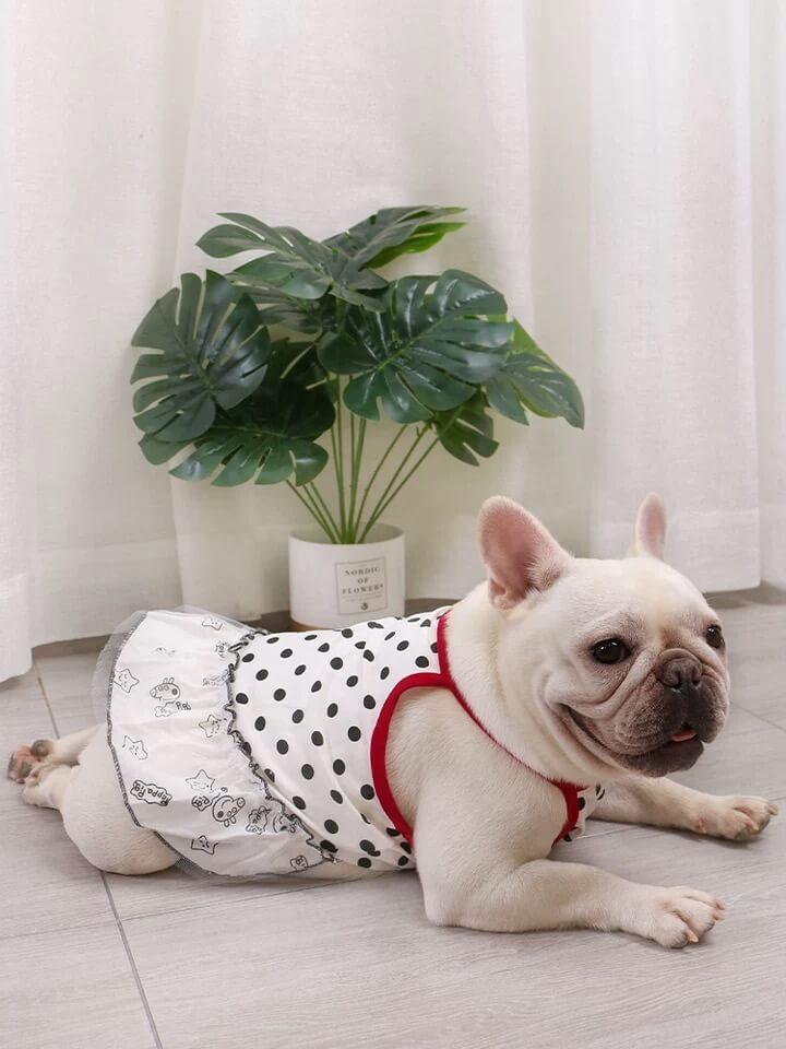 Dog Summer Dress for French Bulldogs - Frenchiely