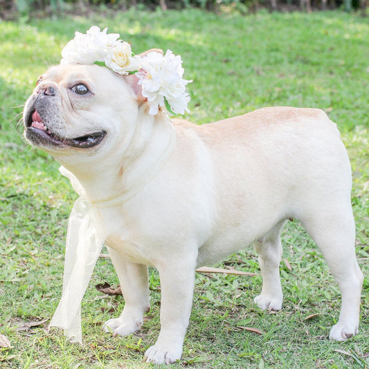 Wedding Garland white_decorative_wedding_decor_flower_headband_for_dogs_09