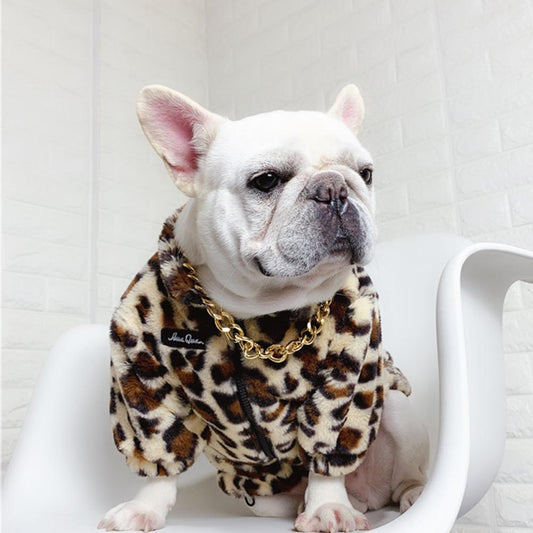 Leopard Coat with Gold Chain( no Pendant) winter_warm_fluffy_leopard_coat_jacket_with_golden_chains_for_french_bulldog_04