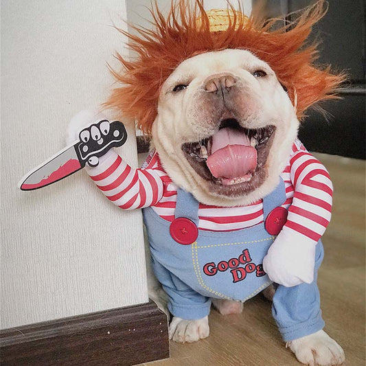 French Bulldog Halloween Costumes- Frenchiely