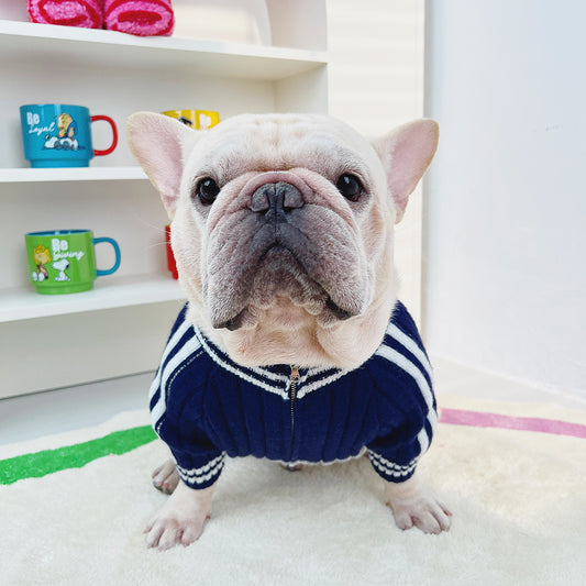Dog Navy & White Zipper Sweater for small medium dogs by Frenchiely