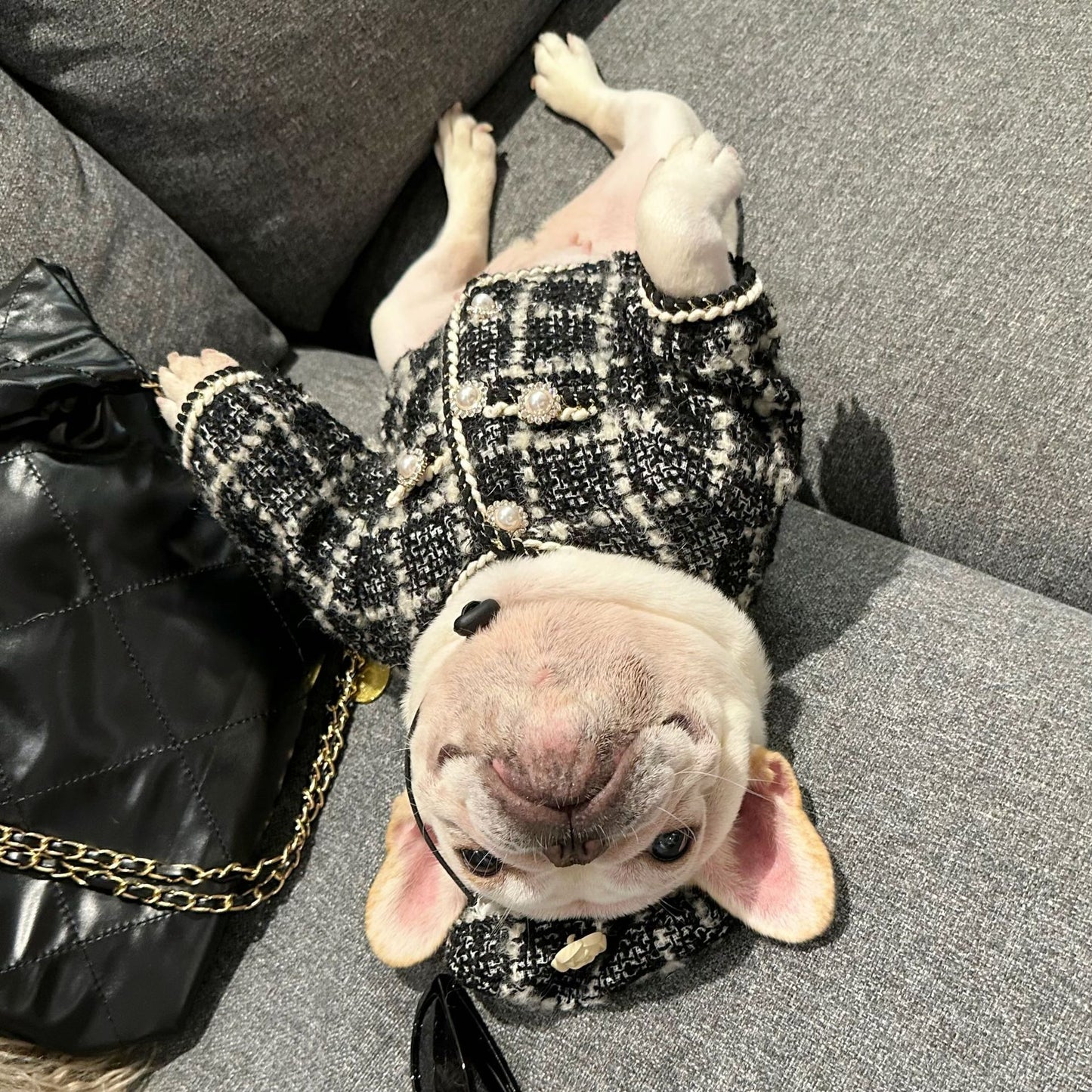 Dog  Plaid Tweed Fabric coat with beret for small medium dogs 