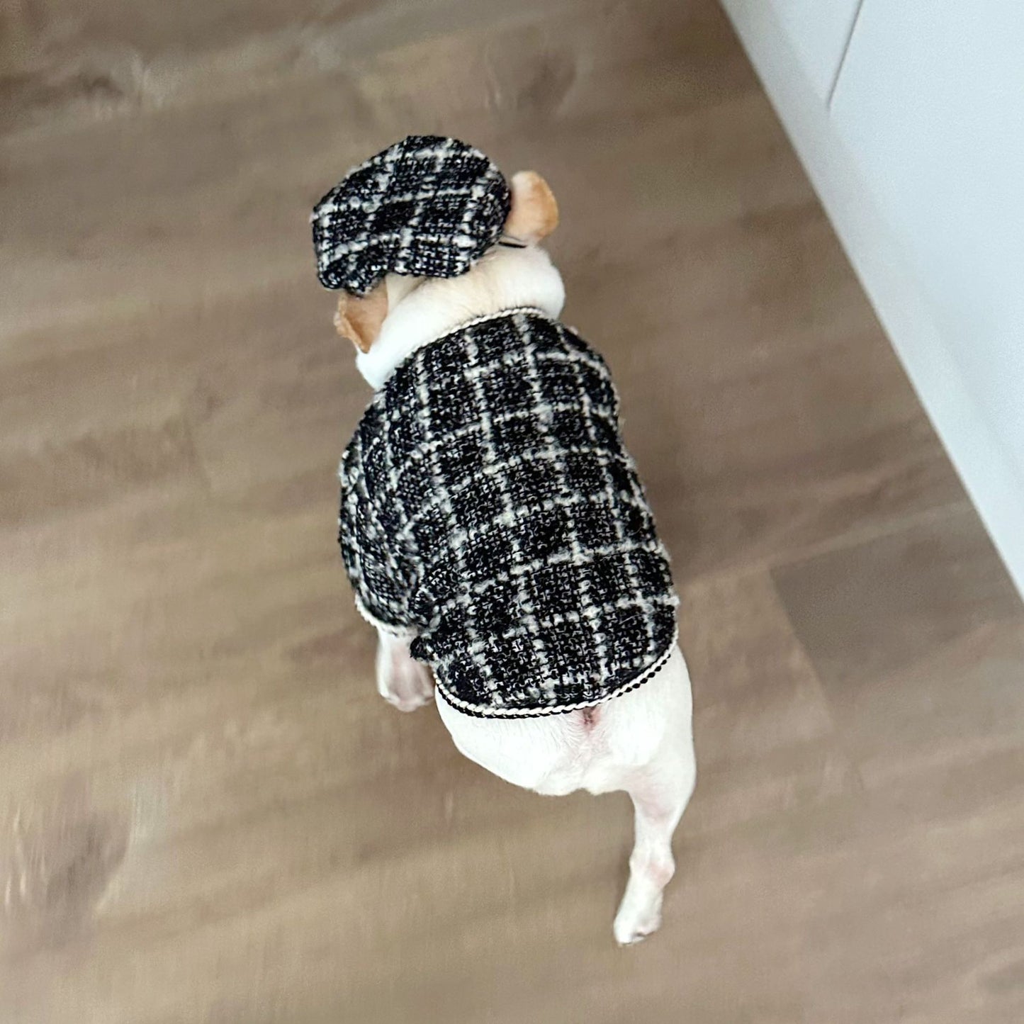 Dog  Plaid Tweed Fabric coat with beret for small medium dogs 