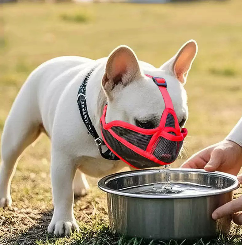 Breathable Muzzle Flat Face