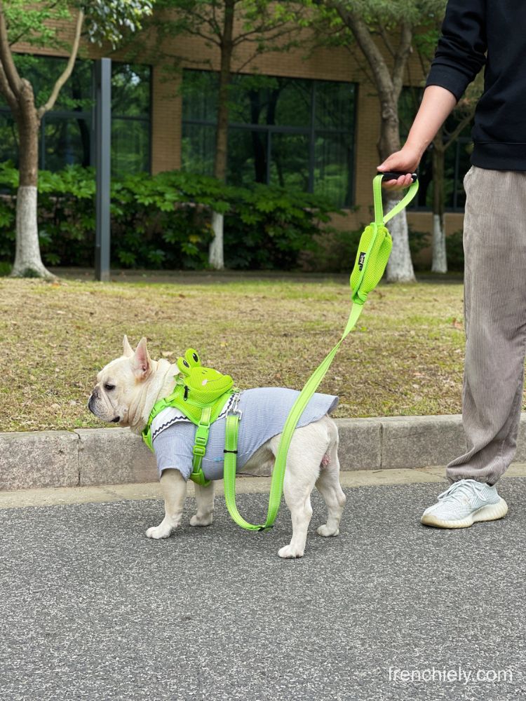 Dog Duck Mesh Backpack Harness Bag with harness Leash