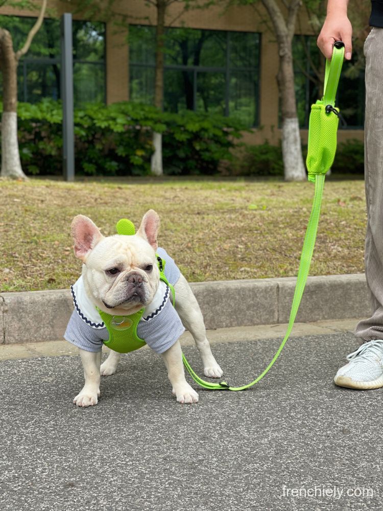 Dog Duck Mesh Backpack Harness Bag with harness Leash
