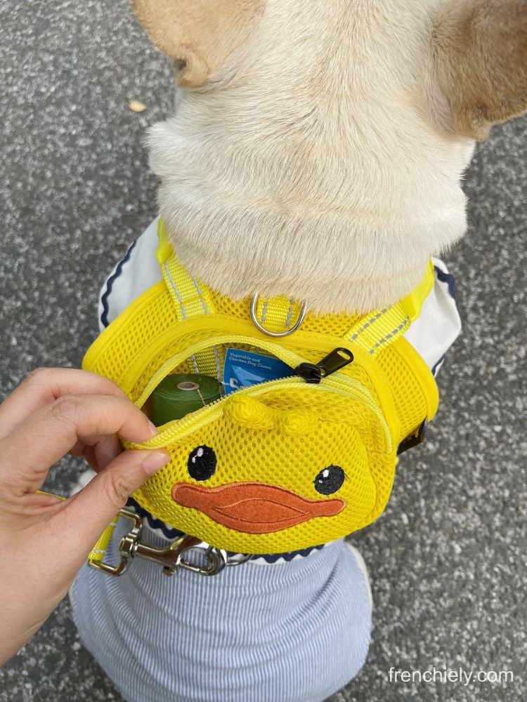 Dog Duck Mesh Backpack Harness Bag with harness Leash