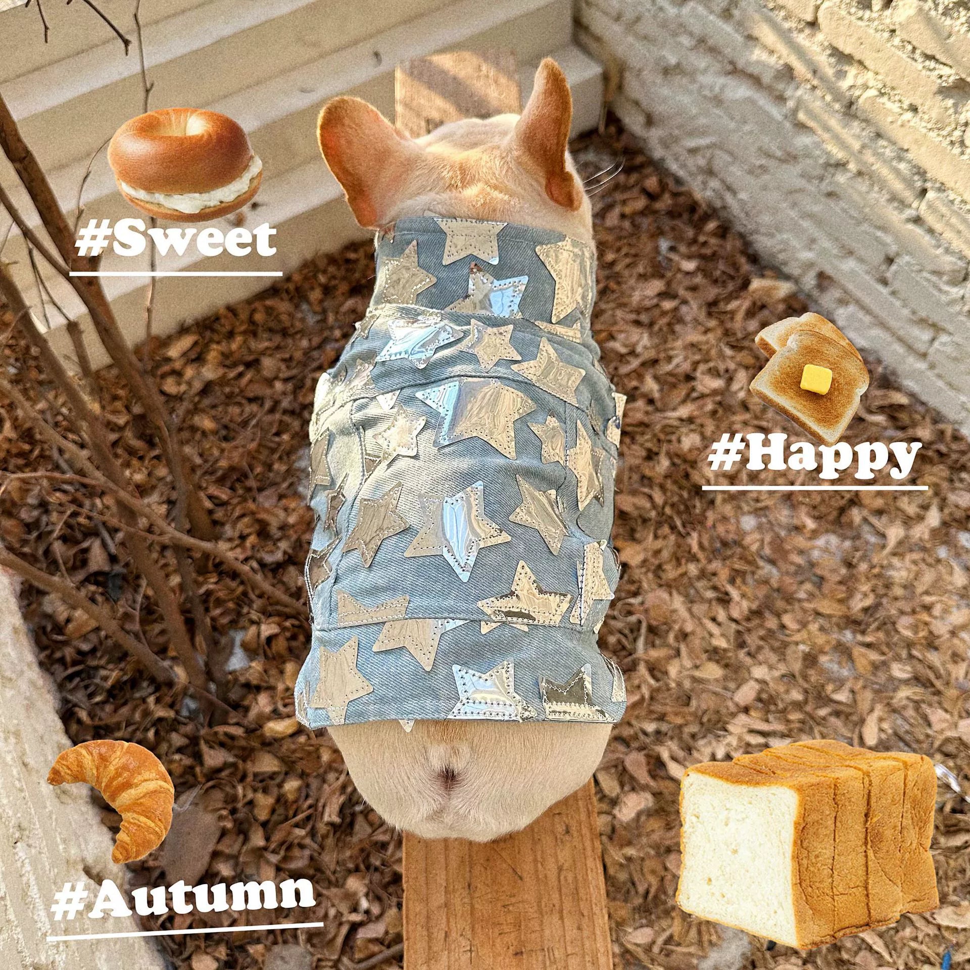 Dog Fancy Stars Denim Vest DogFancyStarsDenimVestformediumdogsbyFrenchiely_1