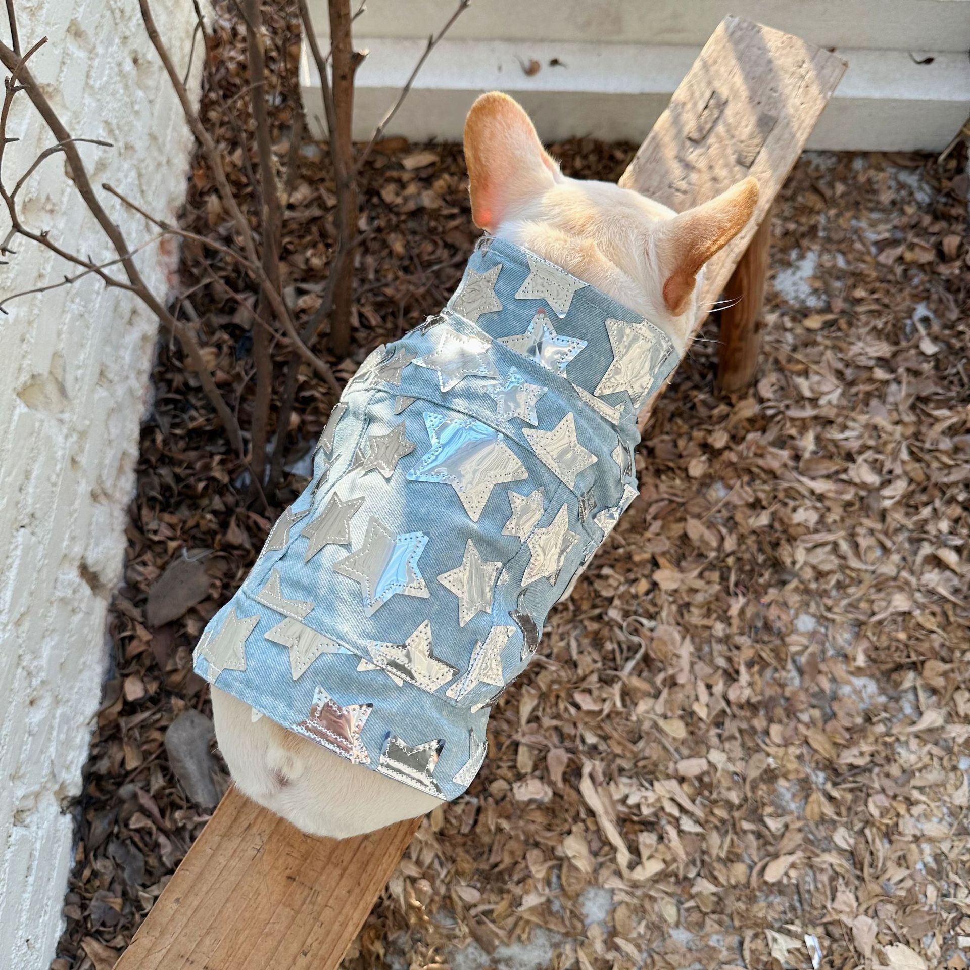 Dog Fancy Stars Denim Vest DogFancyStarsDenimVestformediumdogsbyFrenchiely_10