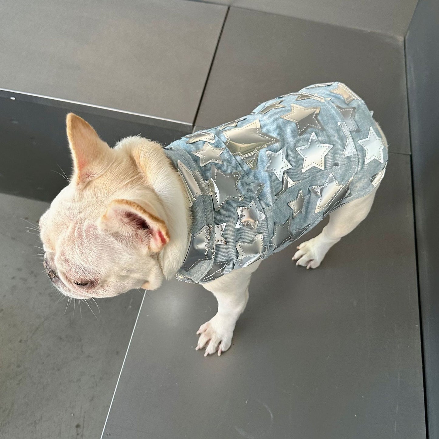 Dog Fancy Stars Denim Vest DogFancyStarsDenimVestformediumdogsbyFrenchiely_11