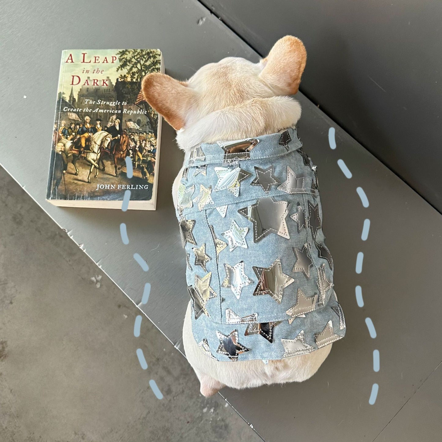Dog Fancy Stars Denim Vest DogFancyStarsDenimVestformediumdogsbyFrenchiely_2