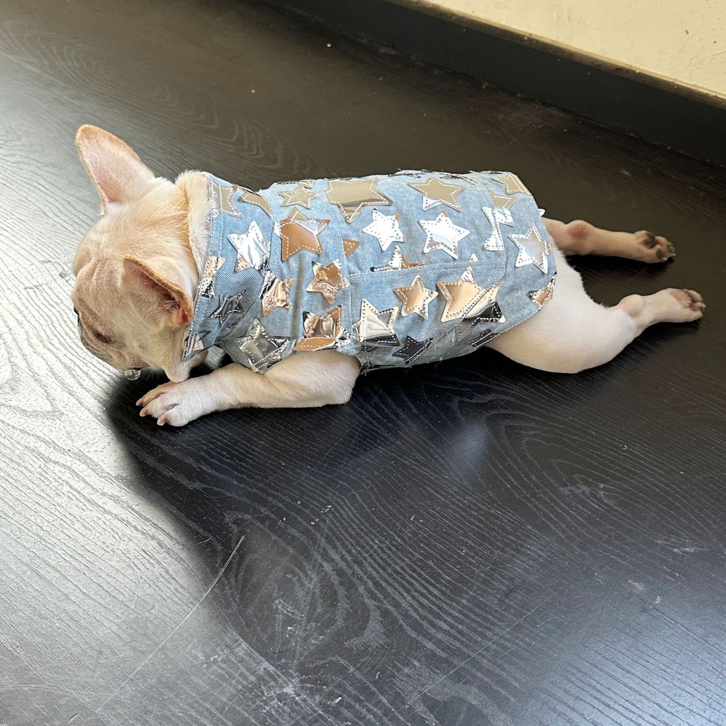 Dog Fancy Stars Denim Vest DogFancyStarsDenimVestformediumdogsbyFrenchiely_3